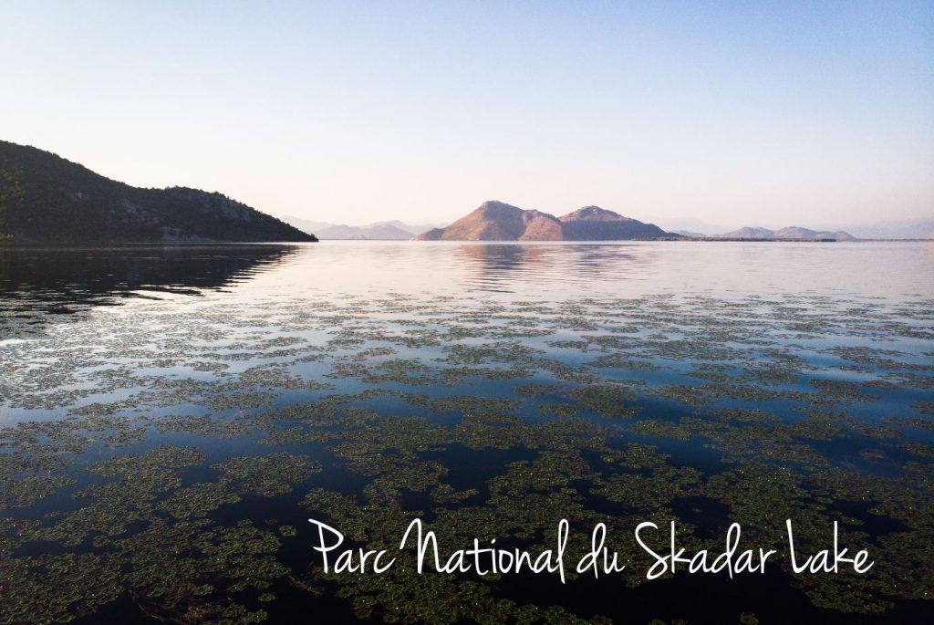 Parc National du Skadar Lake