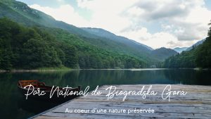 Biogradska Gora