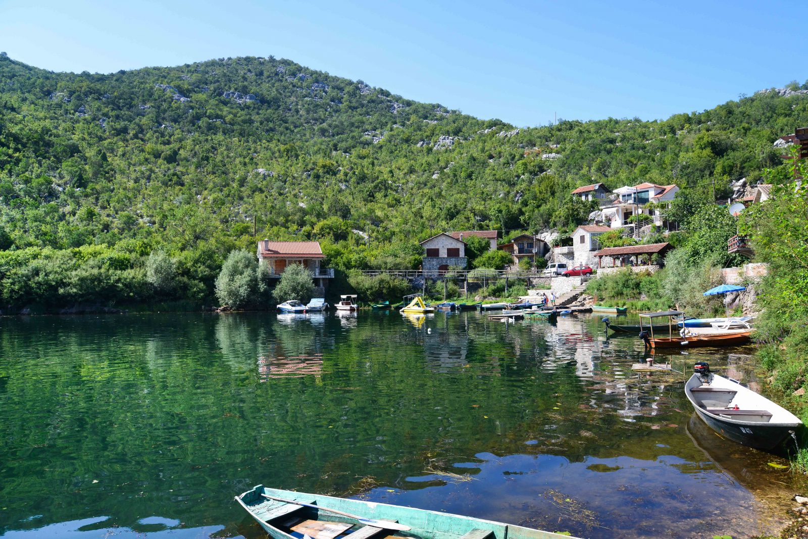 Parc National de Skadar Lake Les Compagnons Explorateurs Blog voyage