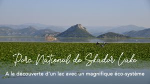 Skadar lake