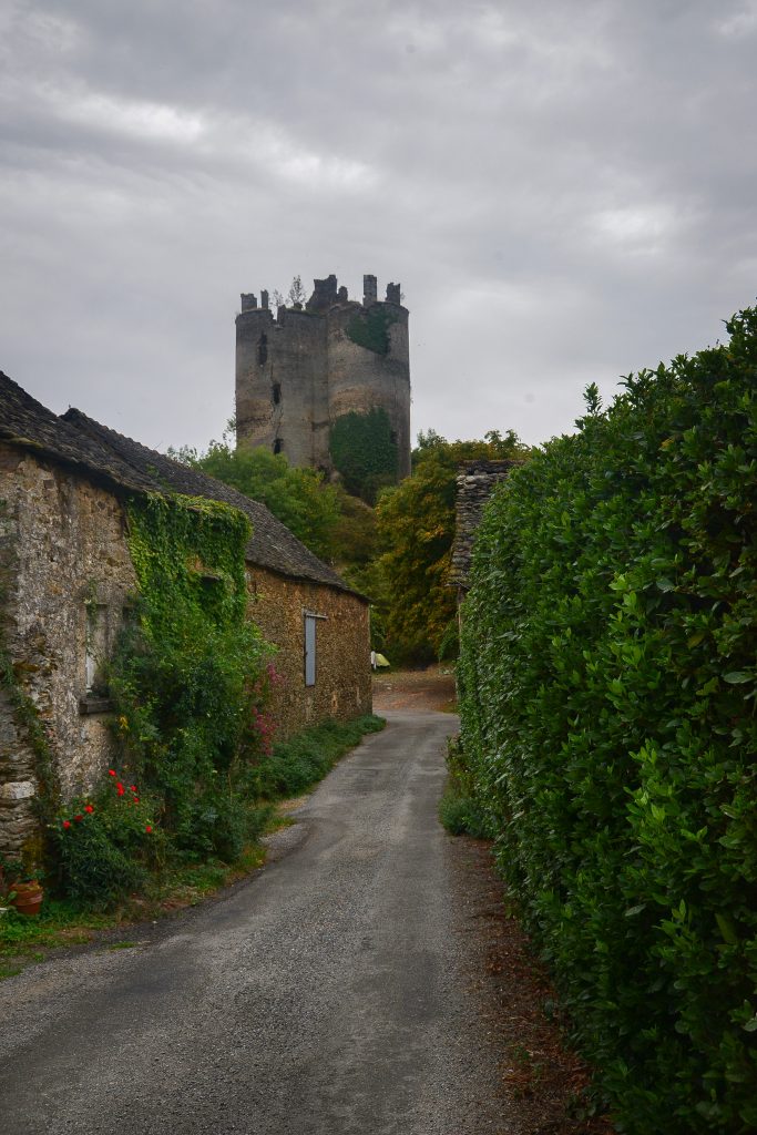 Chateau de Roumégous